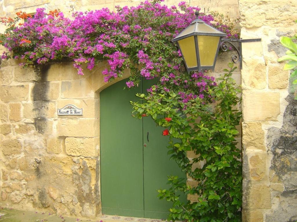 "Steves Villas" Villa Ta Rosi Xagħra Pokoj fotografie